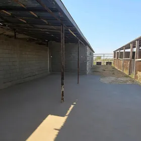 Satlyk daca eyesinden