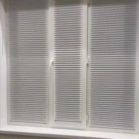 Jalýuz zalyuz jalyuz žalýuz