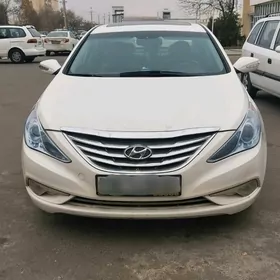 Hyundai Sonata 2011
