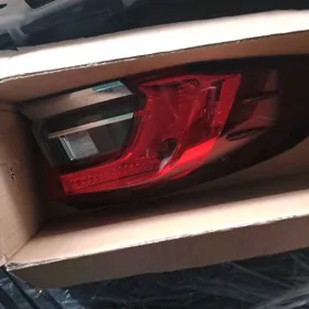 karolla yzky fara 2020