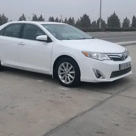 Toyota Camry 2013
