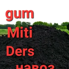 ELENEN YANAN HALTALY DERS MITI