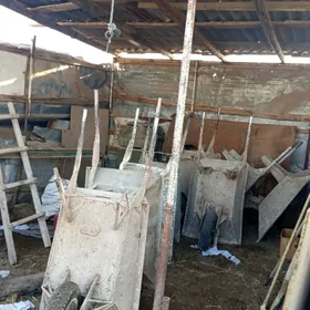 карита тачка леса