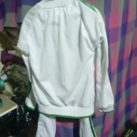 Spartifka sadik üçin