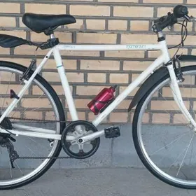 Tigir Arginal welsapet