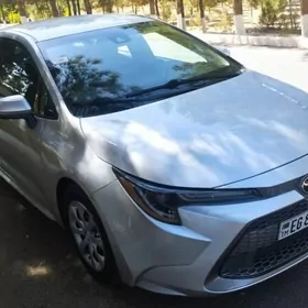Toyota Corolla 2021