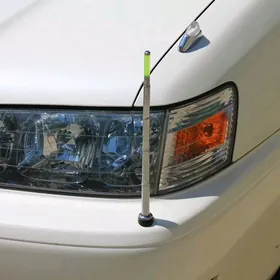 Tokly çyraly bufr antenna