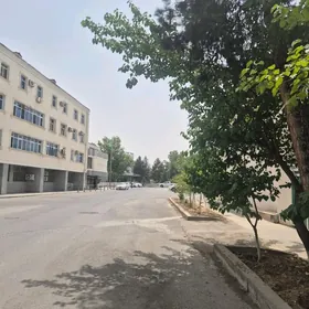 TALYP OGLANLAR ÜÇIN