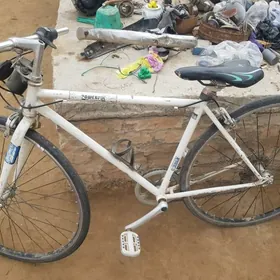 welik27&6 sport,powerful