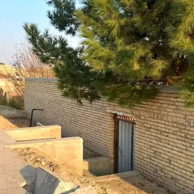 Дача саглык йолы