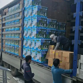 Suw filter magazyn Anew