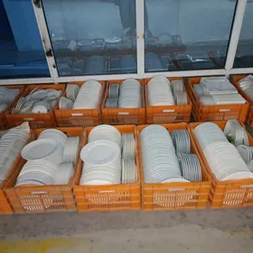 GAP GAÇ PASUDA ALÝAS