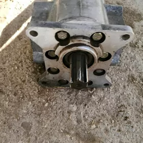 Кеша. 100  лик