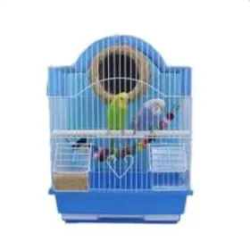 Kletklarmyz+ popugay guslarmyz