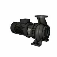 GRUNDFOS nasos