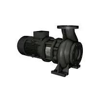 GRUNDFOS nasos
