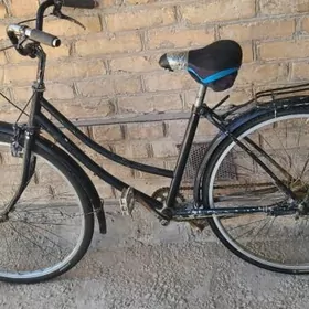 welik tigir  kama welsepet