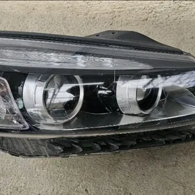 Kia  fara tumannik  oblisowka