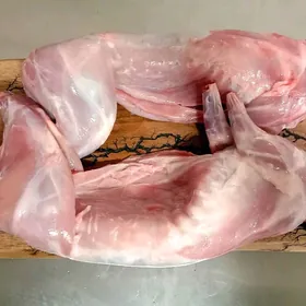 дикий кролик 