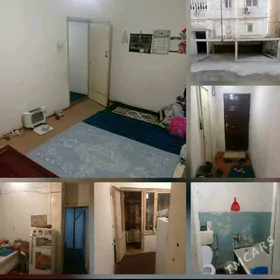 Mary-Şäher-Arenda-Jay-3-mk