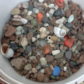 грунт для аквариума