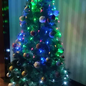 yolka ёлка  2.10