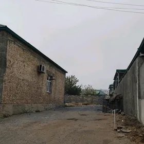 ANEW 10 DONY ASAGY 10 SOTUK