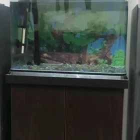 Аквариум Akvarium