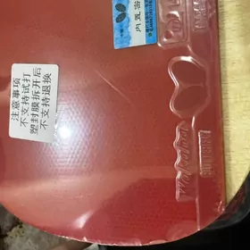 Настольный теннис raketka