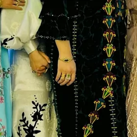 Tulky bn gulli garylan