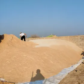 Sarun Kepek Mallar üçün imler