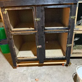 Towsan Ketek Крольчатник