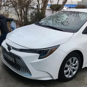 Toyota Corolla 2022