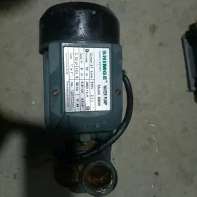 водяной насос