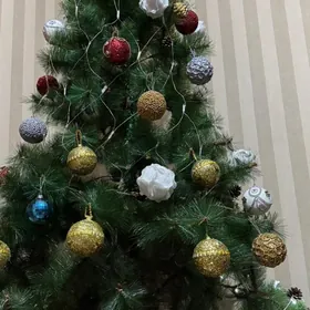 ýolka ёлка 2.10