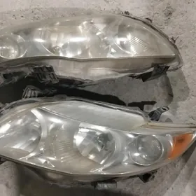 Carolla Fara 08/10 cenli