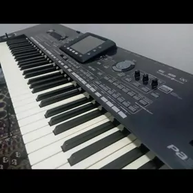 Korg pa3