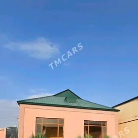 coganly plan jay 6 sotok