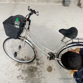 28 lik welik26 lık welik