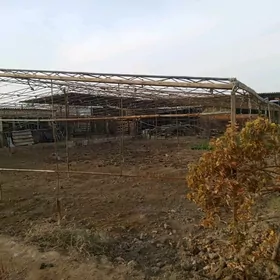 Teplissa berk orsuň materyaly