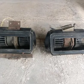 Donuz kelle zil zapcastlar