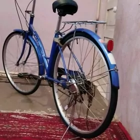 япошка. 27лик