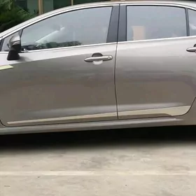 Corolla Molding Gapy Nikel