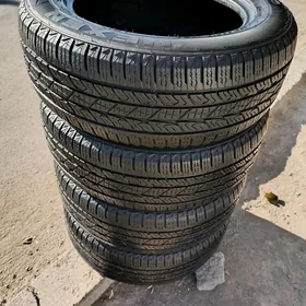 235 60 17 Pakryşga Nexsen