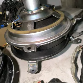 Awalon Lexus Bass Bocga