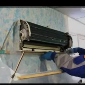 KANDISANER kansaner ussa