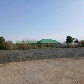 Gokdepe kwantrant jay