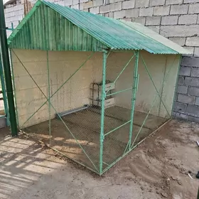 towuk ketet. курятник