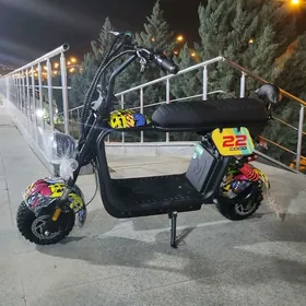 TIGIR MASYN MATOR PARTA SKEYT