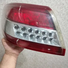 Çyra öküz kelle 2011